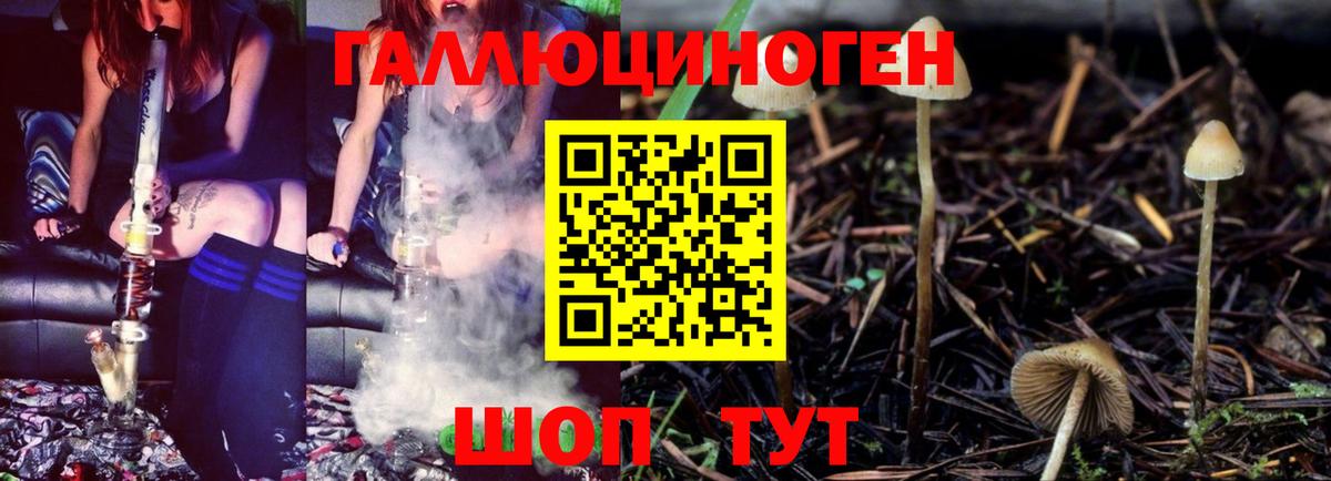 Галлюциногенные грибы мухоморы Сибай