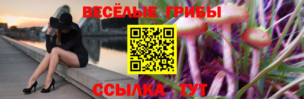 Псилоцибиновые грибы ЛСД  Псилоцибиновые грибы прущие грибы  Сибай  Вход с VPN 